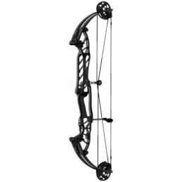 Arco Hoyt Stratos 36 HBT