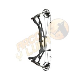 Arco Hoyt Carbon RX-8