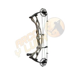 Arco Hoyt Carbon RX-8