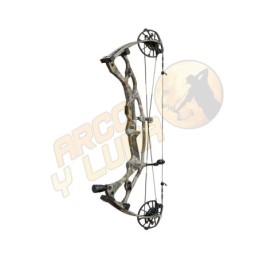 Arco Hoyt Carbon RX-8