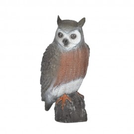 Diana FB Brown Owl