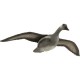 Diana FB Flying Grey Goose